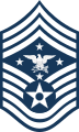 Air Force insignia (2019–present)[16]