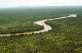 Rivière gambia