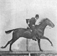 אנימציית סוס דוהר בצילום מעשה ידי אדוארד מויברידג', כחלק מפתרון חידת הסוס הדוהר.