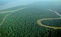 Image 5The Amazon rainforest alongside the Solimões River, a tropical rainforest. These forests are the most biodiverse and productive ecosystems in the world. (from Forest)