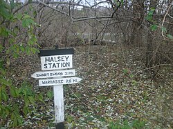 Halsey Station