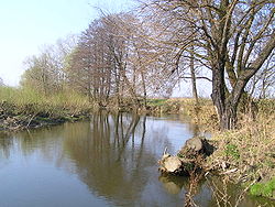 Řeka u vesnice Trawniki