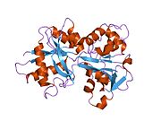 1n7w: Crystal Structure of Human Serum Transferrin, N-Lobe L66W mutant