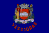 Flag of Vassouras