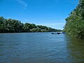River Tisza