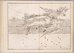 Uranometria by Johann Bayer (1661) 27.jpg