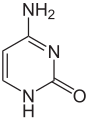 Cytosinum (C)