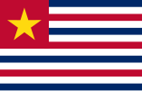 Zastava Louisiane (februar 1861 – 1912)[9]