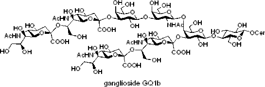 GangliosideGQ1b.gif