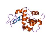 1ix0: I59A-3SS human lysozyme