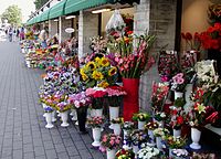 Flower market in Tallinn