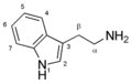 C10H12N2，色胺