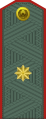 General-mayor (Uzbek Ground Forces)[73]