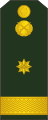 Maior (Moldovan Ground Forces)[58]