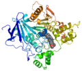 Acetylcholinesterase inhibited by donepezil