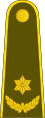 Majoras (Lithuanian Land Force)[51]