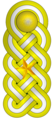 Mayor (Venezuelan Army)[97]