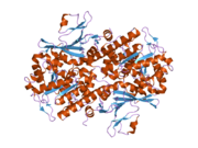2g95: Crystal Structure of Visfatin/Pre-B Cell Colony Enhancing Factor 1/Nicotinamide Phosphoribosyltransferase