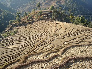 Terrance agriculture land of Nepal
