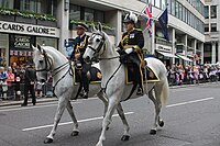 The Assistant Commissioner of the City of London Police in full ceremonial uniform, 2012.