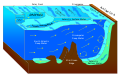 Антарктичні придонні води