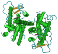 Ligand-binding region of estrogen receptor beta. Made in Cn3D to replace a JPG version