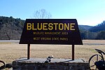 Thumbnail for Bluestone Wildlife Management Area