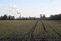 Field at Fornham St Martin (2009) showing jackdaws over arable land and smoke from British Sugar factory nearby