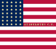 Flag of the 8th California Infantry Regiment