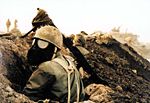 Thumbnail for Iran–Iraq War