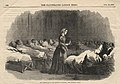 Picture of Nightingale in The Illustrated London News, 24 February 1855