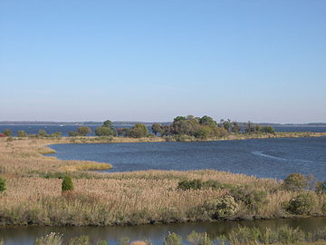 Tidal wetlands of the Chesapeake Bay, the largest estuary in the United States, and the largest water feature in Maryland.