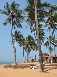 Negombo beach