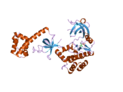 2a1a: PKR kinase domain-eIF2alpha Complex