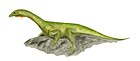 Protorosaurus speneri