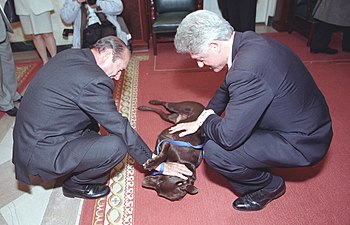 El president de França Jacques Chirac acaricia a Buddy durant una visita oficial el 1999.