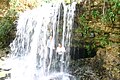 Невеликий водоспад «Таньярд-Крик» з озера Уіндсор (Белла-Віста, Арканзас)