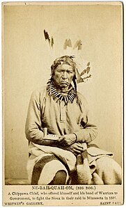 Chippewa Chief Ne-bah-quah-om (Big Dog) offered to fight the Sioux for the government in 1862
