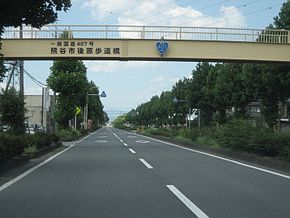 Route 407 Kumagaya City 2.JPG