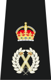 Chief Constable