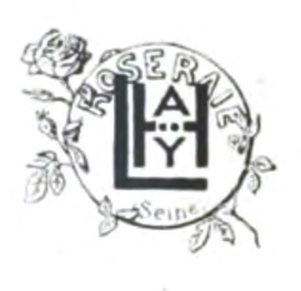 File:Gravereaux - Les roses cultivées à l'Haÿ en 1902 (Images).djvu