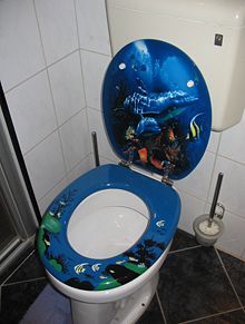 Decorative toilet seat.jpg
