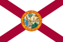 Flagge van Florida
