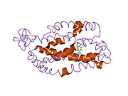 1jfp: Structure of bovine rhodopsin (dark adapted)