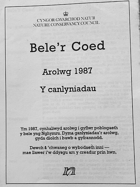 File:Clawr Arolwg Bele 1987.jpg