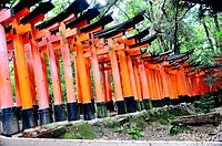 A torii path across the mountain from the side