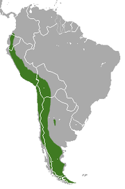 Distribución do raposo dos Andes