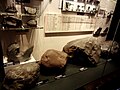 Meteorites fell in Japan