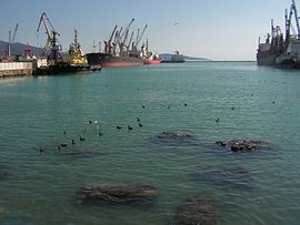 The port of Novorossiysk