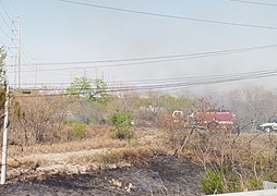 A grass fire being controlled by firefighters in Nuevo León, México, during the drought